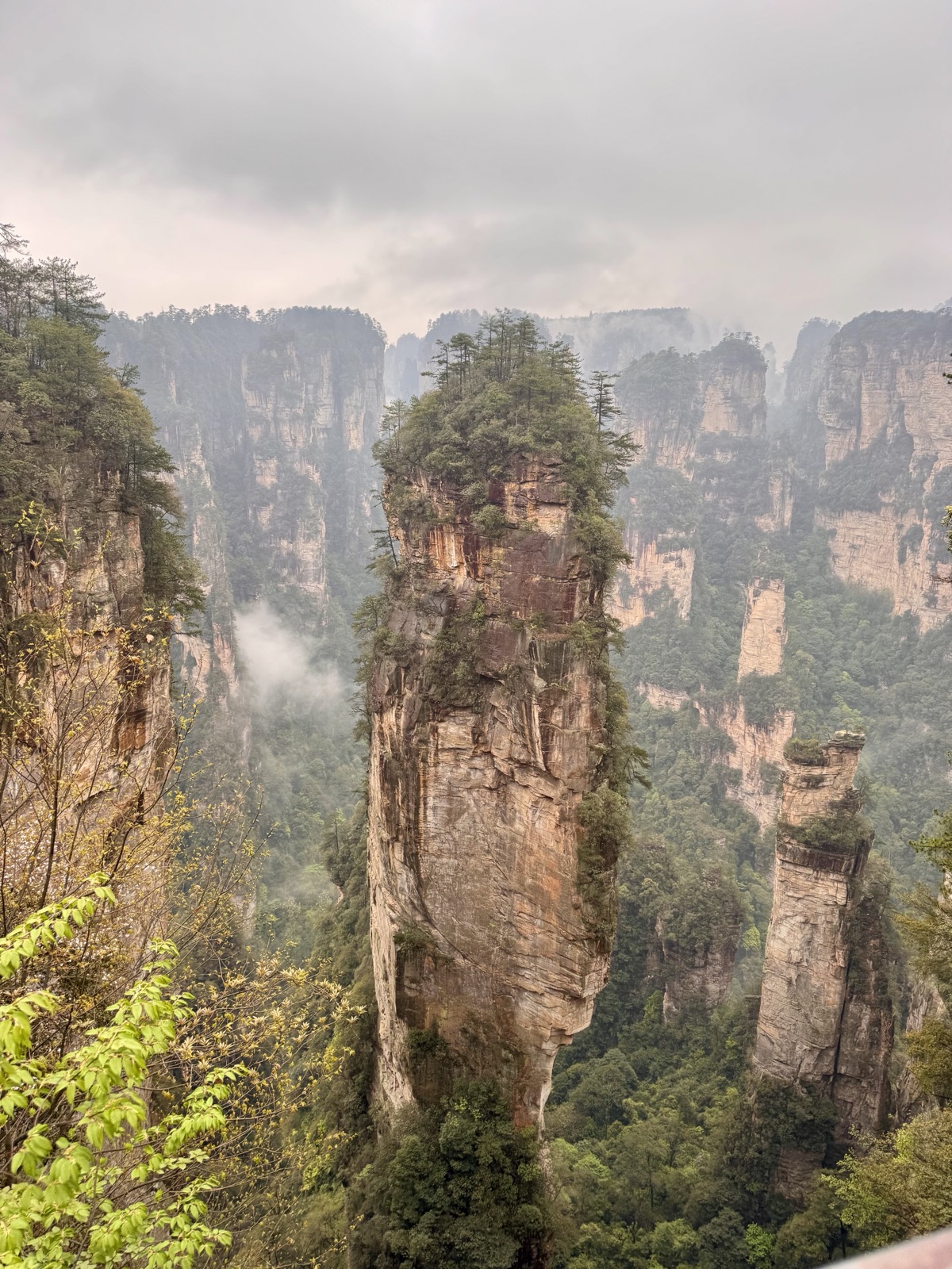China reel — mountain mist over Zhangjiajie pillars